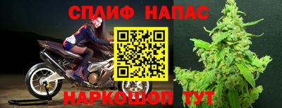гашик Нягань