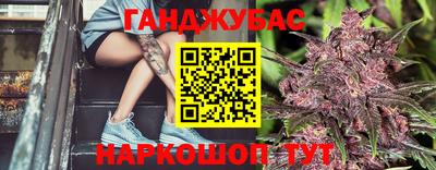 гашик Новозыбков