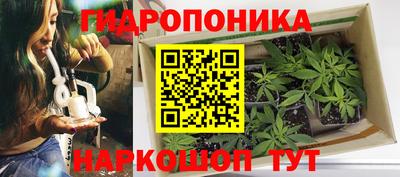 гашик Нягань