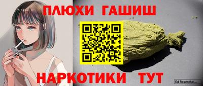 гашик Новозыбков