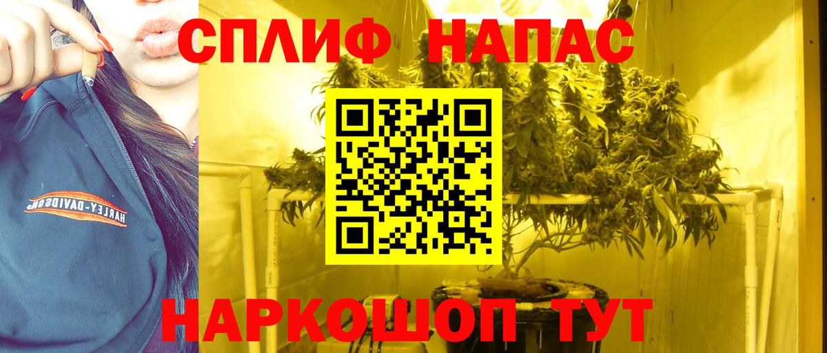 Бошки Шишки White Widow  Вход с VPN  Улан-Удэ  Канабис планчик  Бошки марихуана VHQ 
